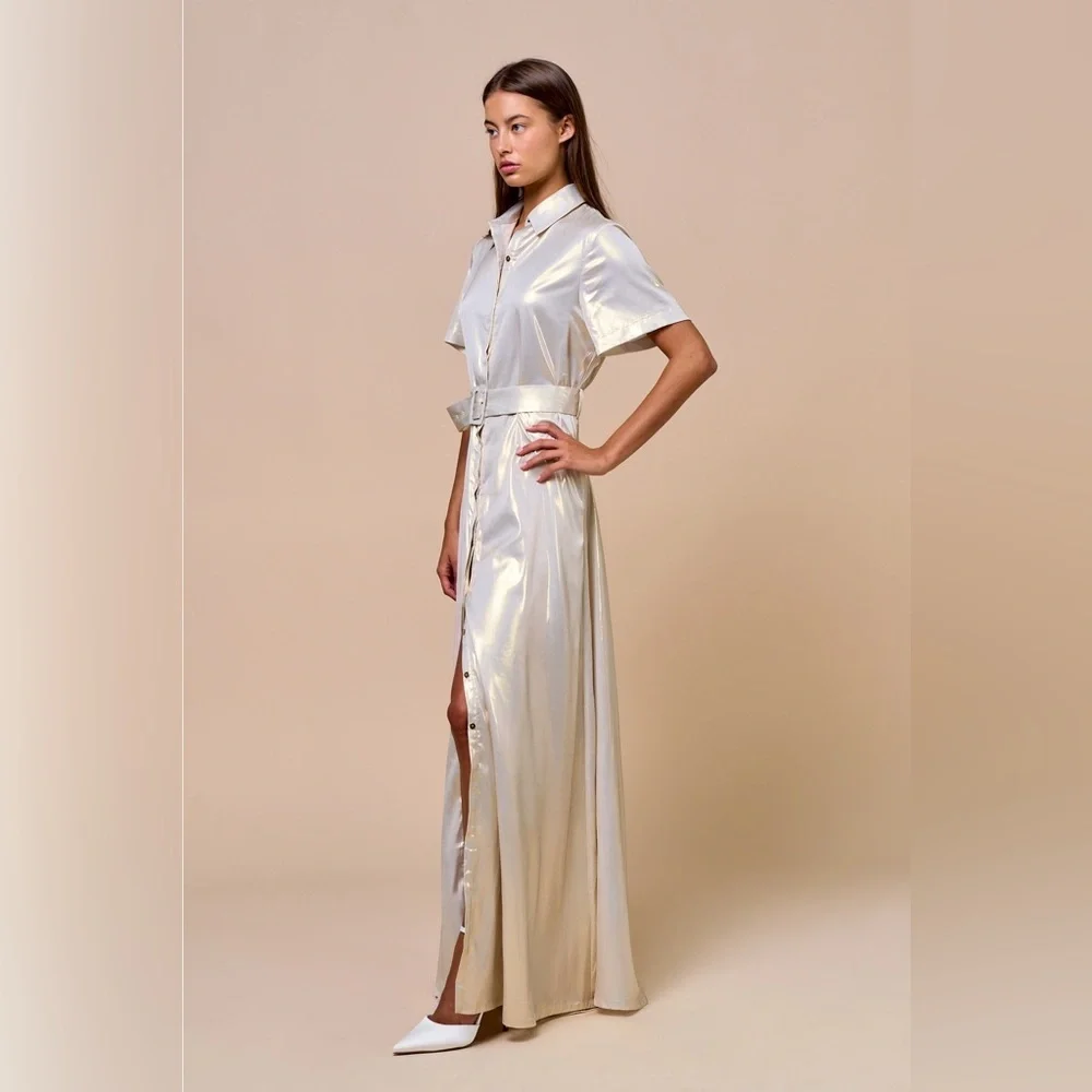 Lalavon Collared Button-Down Maxi Dress with Belt Silver - Picture 3 of 3